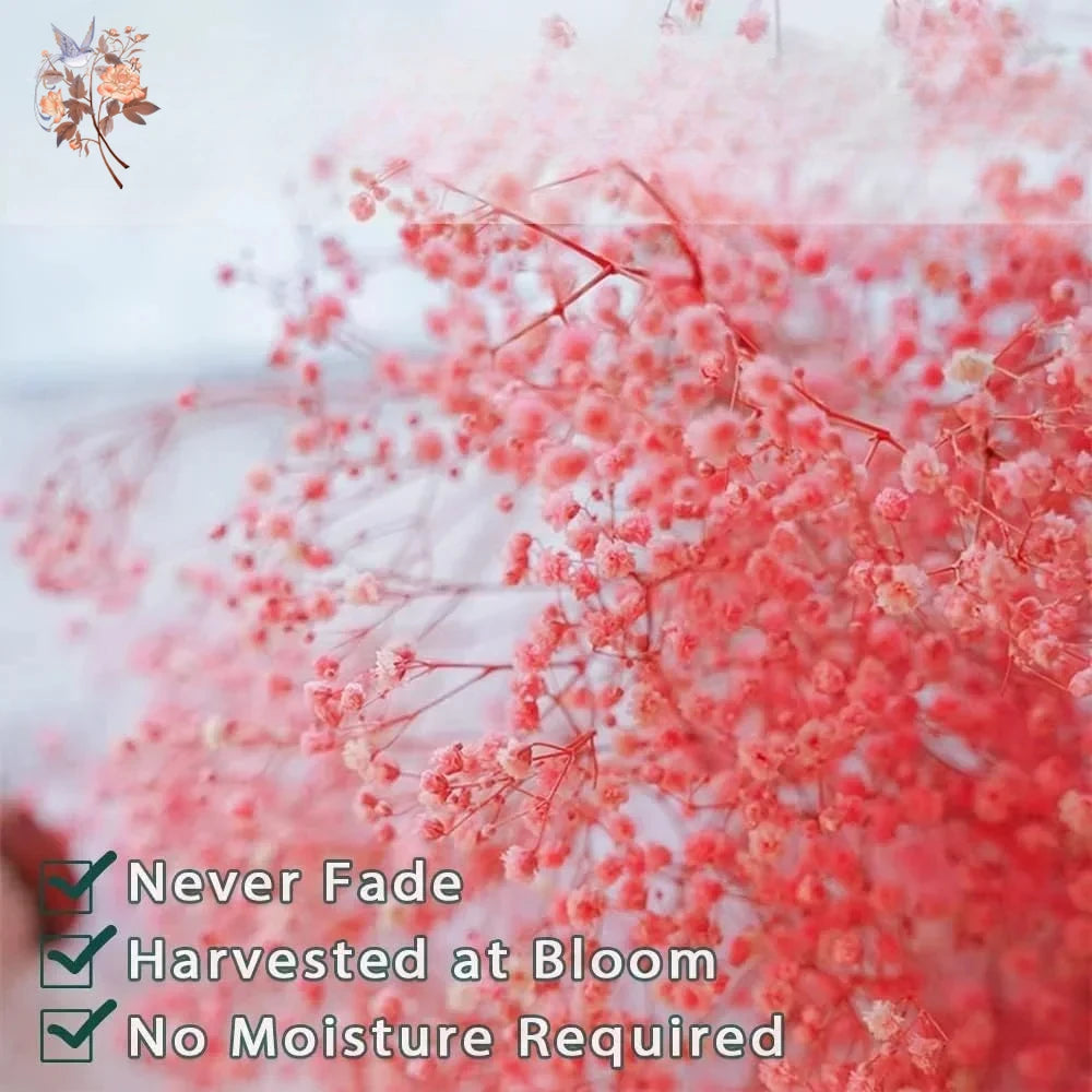 décoration maison bouquet fleurs séchées rose blanches vase naturel rustique
