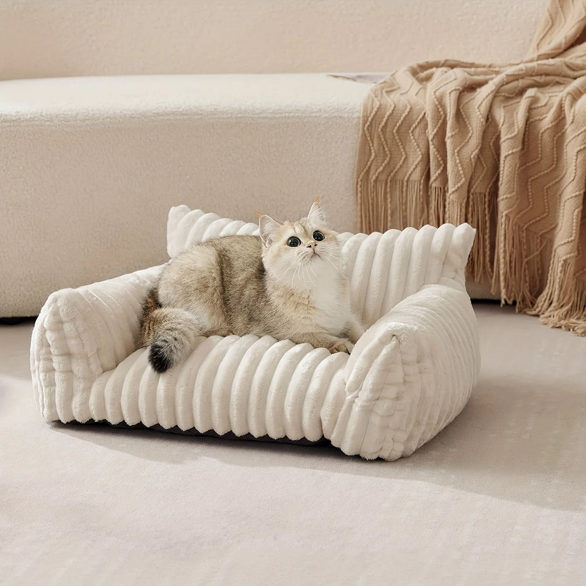 lit chat gris blanc velours rayures moderne confortable