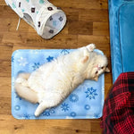 tapis refroidissement chien bleu clair flocons neige moderne gel polymère doux