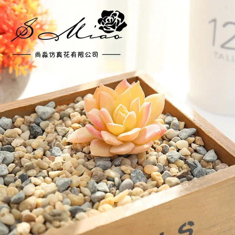 plantes succulentes artificielles vert feuilles pointues réaliste gravier boîte bois extérieur anniversaire exposantDecoration