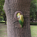 mangeoires oiseaux artificiels vert blanc jaune plumage réalistes adhésives jardin decoration festive
