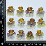 fleurs séchées violettes jaunes décoratives bricolage résine bijoux étui téléphone maquillage pétale simple naturel