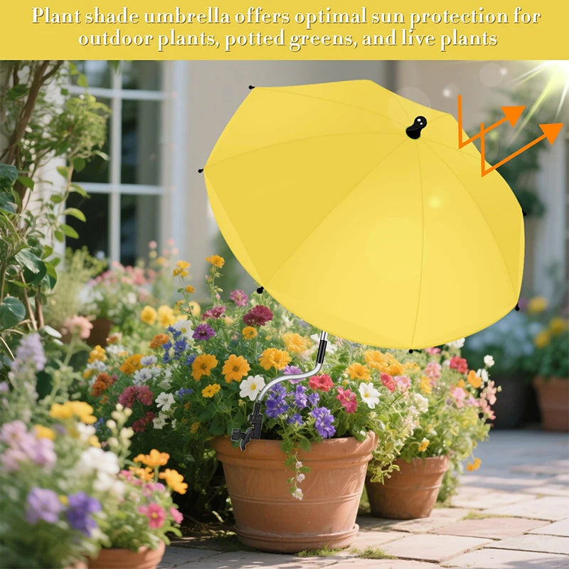 Parasol d'ombrage or protégeant des succulentes en pot