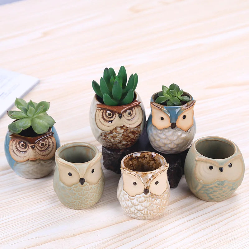 pots céramique oiseaux moderne succulentes décoration jardin vert marron bleu
