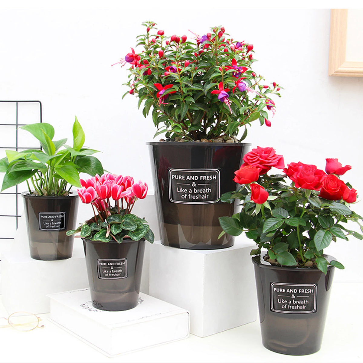 bacs pépinière plastique moderne pot d'eau auto arrosage plante verteintérieur designhydroponique