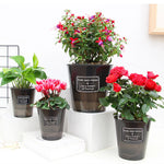 bacs pépinière plastique moderne pot d'eau auto arrosage plante verteintérieur designhydroponique