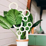 support plante blanc moderne cercles géométriques opacité intérieur extérieur decoration jardin
