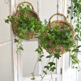 Panier mural en rotin suspendu, cache-pot en osier fait main pour jardin et décoration intérieure