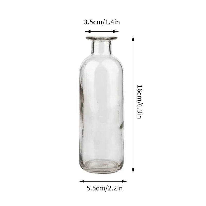 vase verre transparent moderne rose décoration intérieur hydroponique fleuri table studio