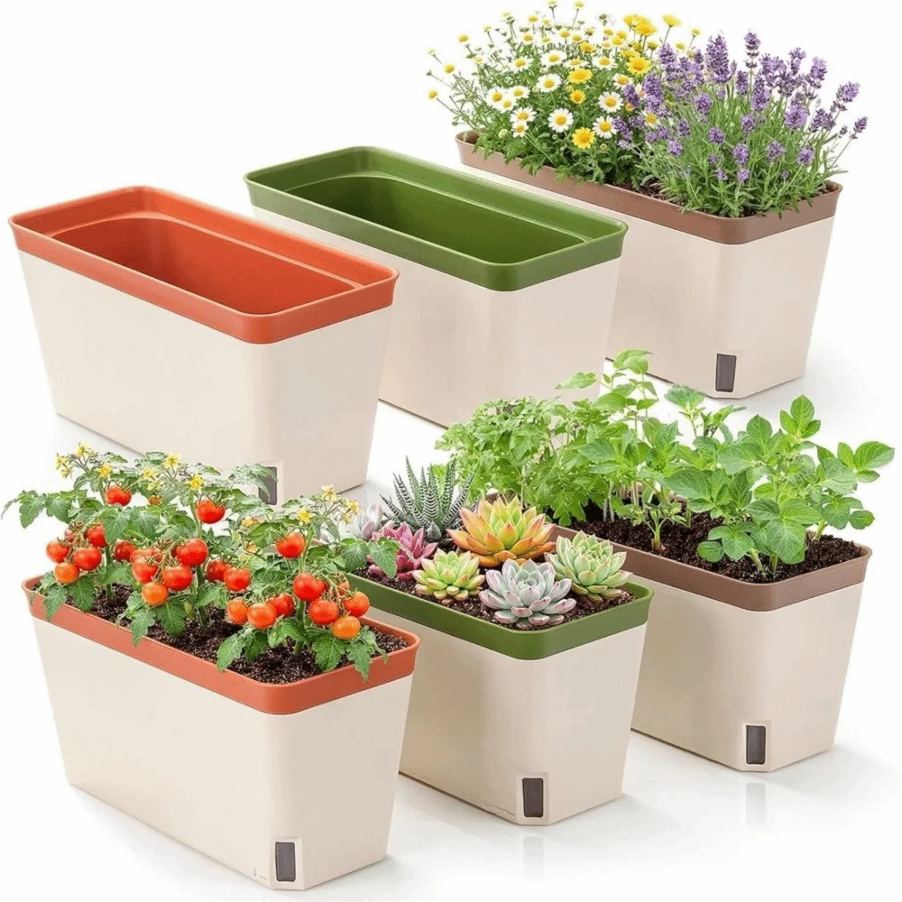 pots fleurs autoarrosants moderne fenetre niveau eau plantes intérieures herbes aromatiques succulentes blanc vert
