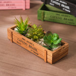 bac fleurs bois naturel vintage plante verte bleu rose noir rustic decoration jardin adulte