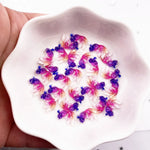poissons miniatures résine multicolores transparentes animaux compagnie accessoires bricolage scrapbook occasions fêtes