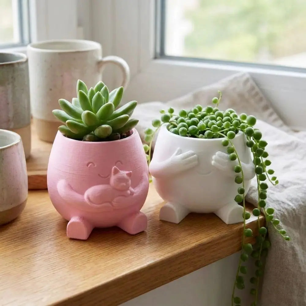 cache pot mignon rose clair blanc cactus succulentes visage souriant chaton cartoon opacité