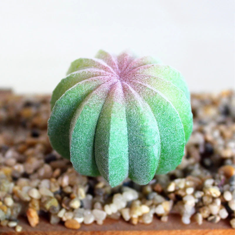 plantes succulentes artificielles cactus agave mini décorations vert blanc moderne minimalisteextérieur exposition