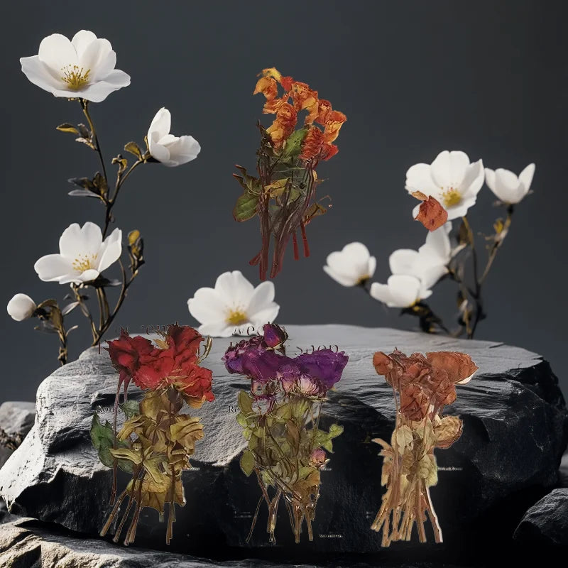 fleurs séchées artisanales adhésives ruban blanc naturel multicolore pack random
