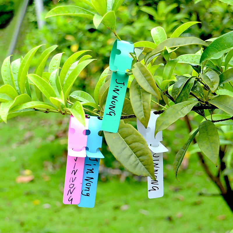étiquettes plantes rectangulaires pvc bleu blanc rose vert rouge jaune modernes jardinage pratique