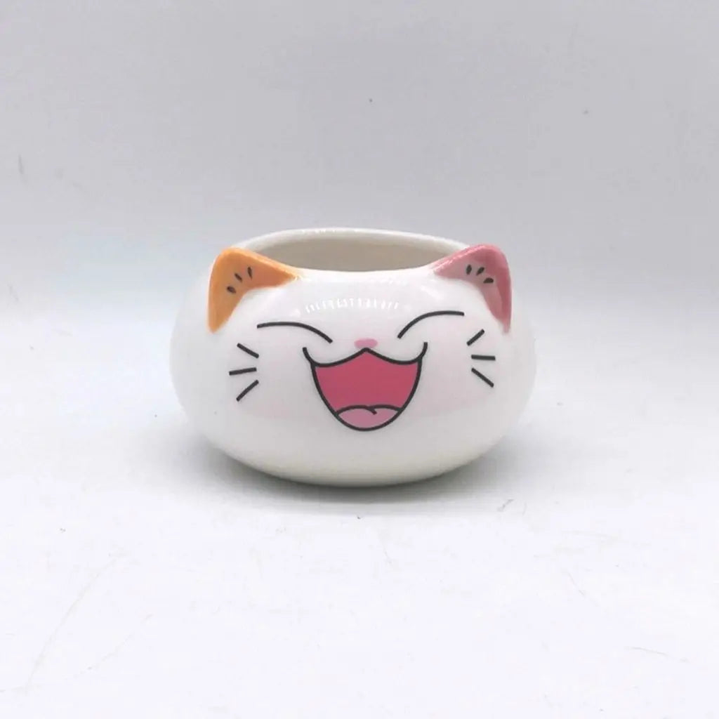cache pot cartoon visage animé blanc rose jaune noir succulente décoration table adultes unisexe