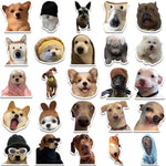 sticker chien expression faciale divers couleurs adhésif decoratif humour kawaii telephone waterbottle decoration 10pcs