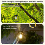lanterne solaire vintage cage métallique noire ampoule led panneau solaireextérieur autoinstallation modes lumière jardin