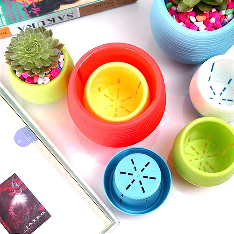 cache pot résine coloré moderne rayures horizontales plante succulente bleu blanc jaune rouge vert