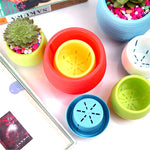 cache pot résine coloré moderne rayures horizontales plante succulente bleu blanc jaune rouge vert