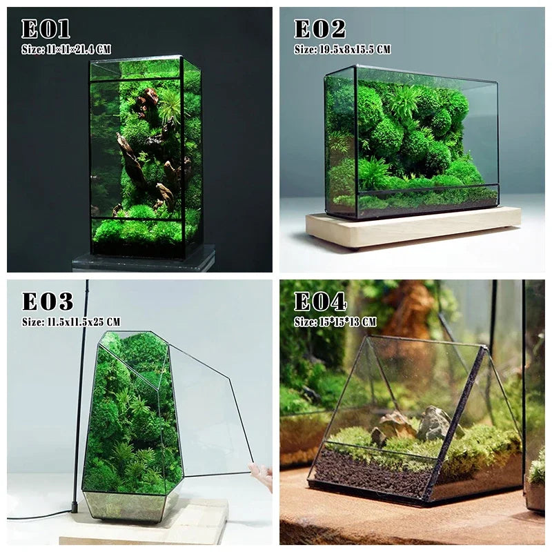 terramium verre transparent plante verte moderne naturel branchages terre inclusion