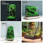 terramium verre transparent plante verte moderne naturel branchages terre inclusion