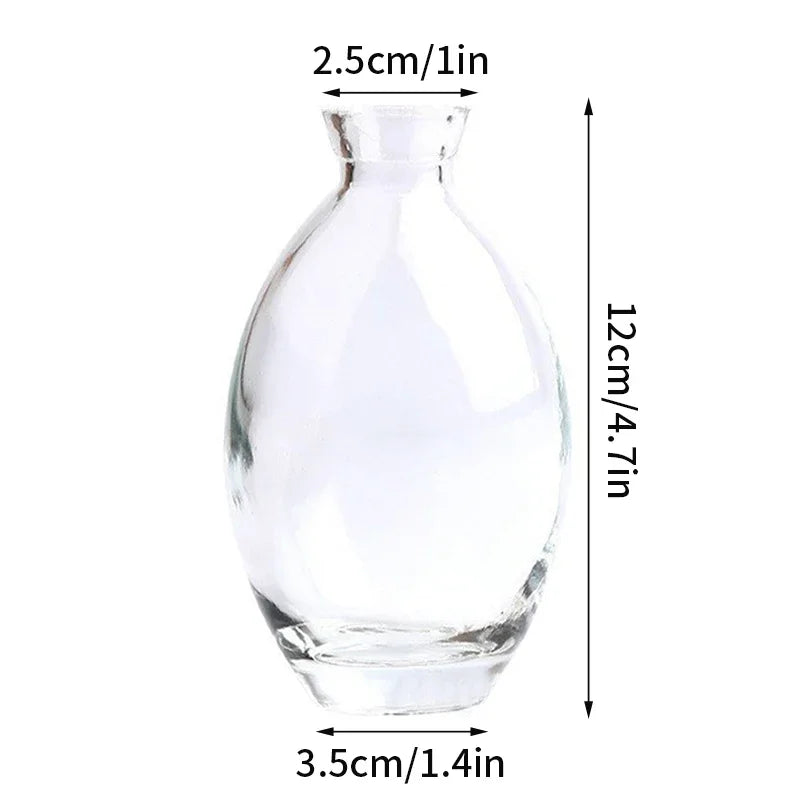 vase verre transparent moderne rose décoration intérieur hydroponique fleuri table studio