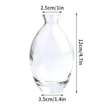vase verre transparent moderne rose décoration intérieur hydroponique fleuri table studio