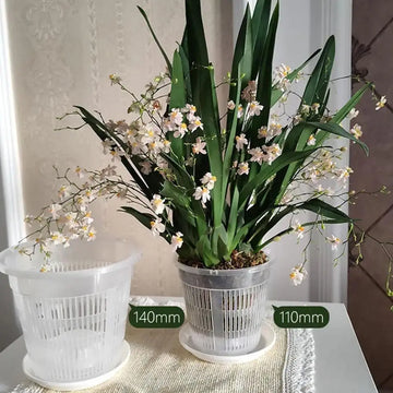 pot plante transparent moderne grille drainage plateau support lignes verticales plastique