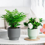 pots fleurs modernes résine blanc rayures verticaux hydroponiques plante verte autoarrosage personnes paresseuses