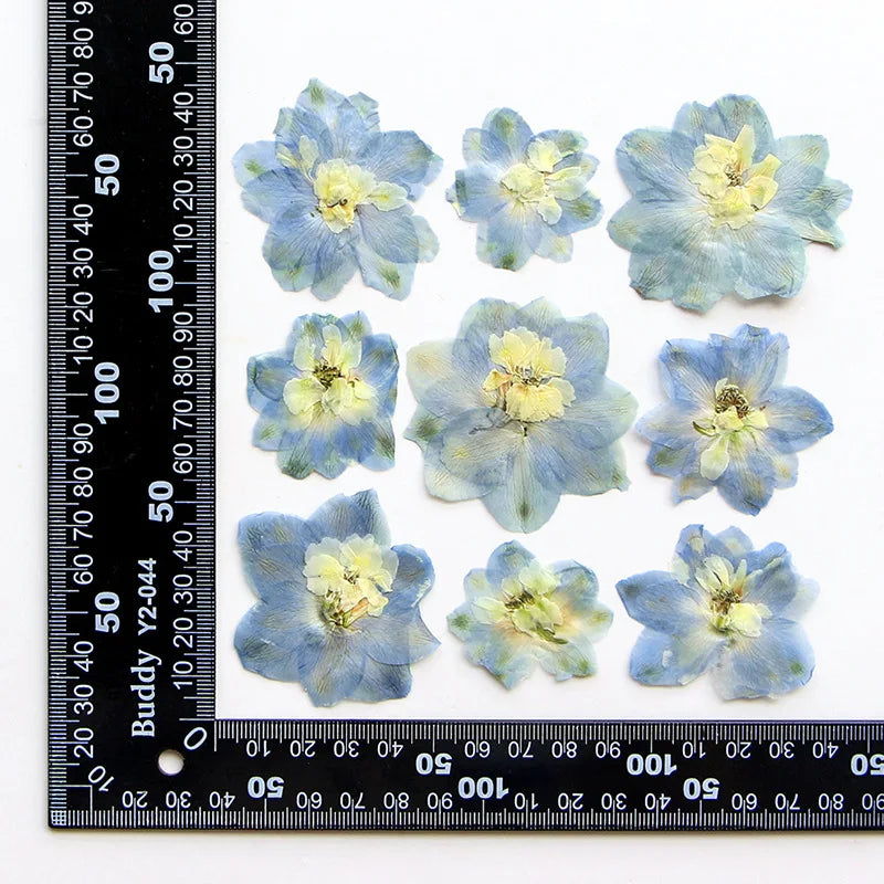 fleurs séchées bleu blanc jaune naturelles petals décor intérieur anniversaire cadeau art artisanal