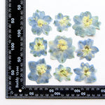 fleurs séchées bleu blanc jaune naturelles petals décor intérieur anniversaire cadeau art artisanal