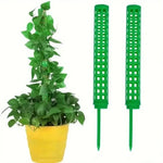 supports plantes pliants adhésifs cordelettes piquets blancs verts modernes intérieur