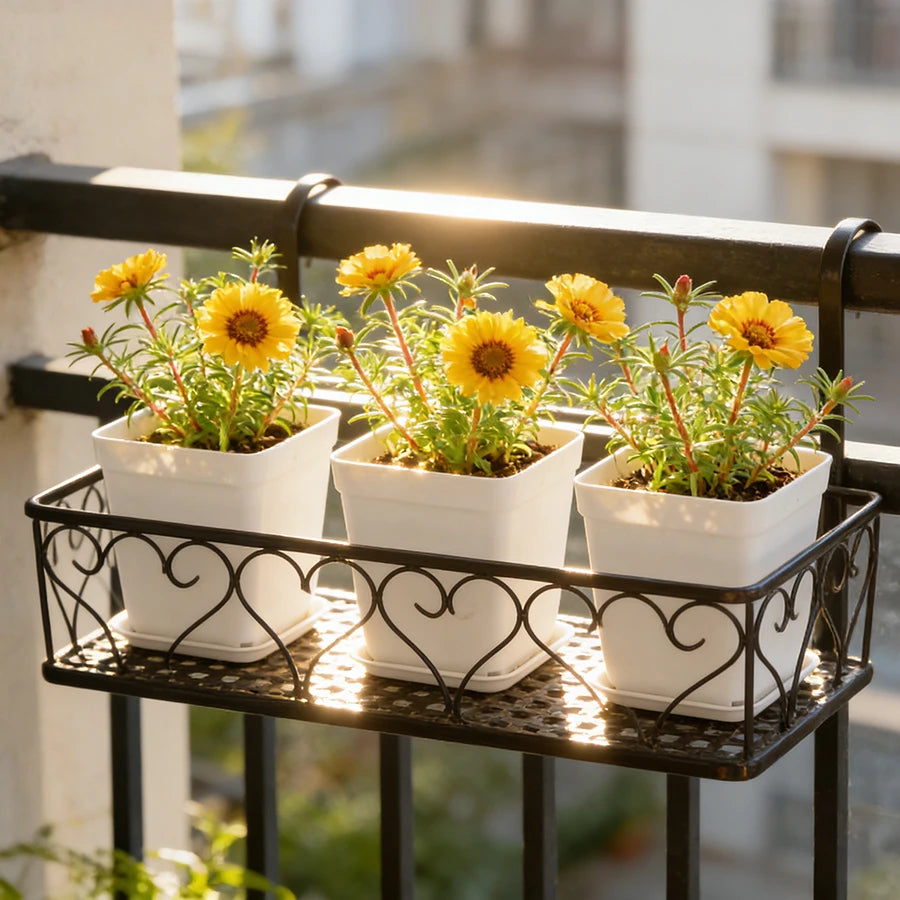 pots fleurs blancs modernes plateau drainage adhésif set 10 20 pots carreaux plastique