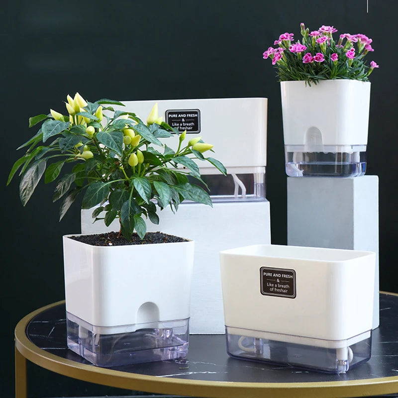 pots plantes auto arrosants blancs moderne grille drainage transparent minimaliste
