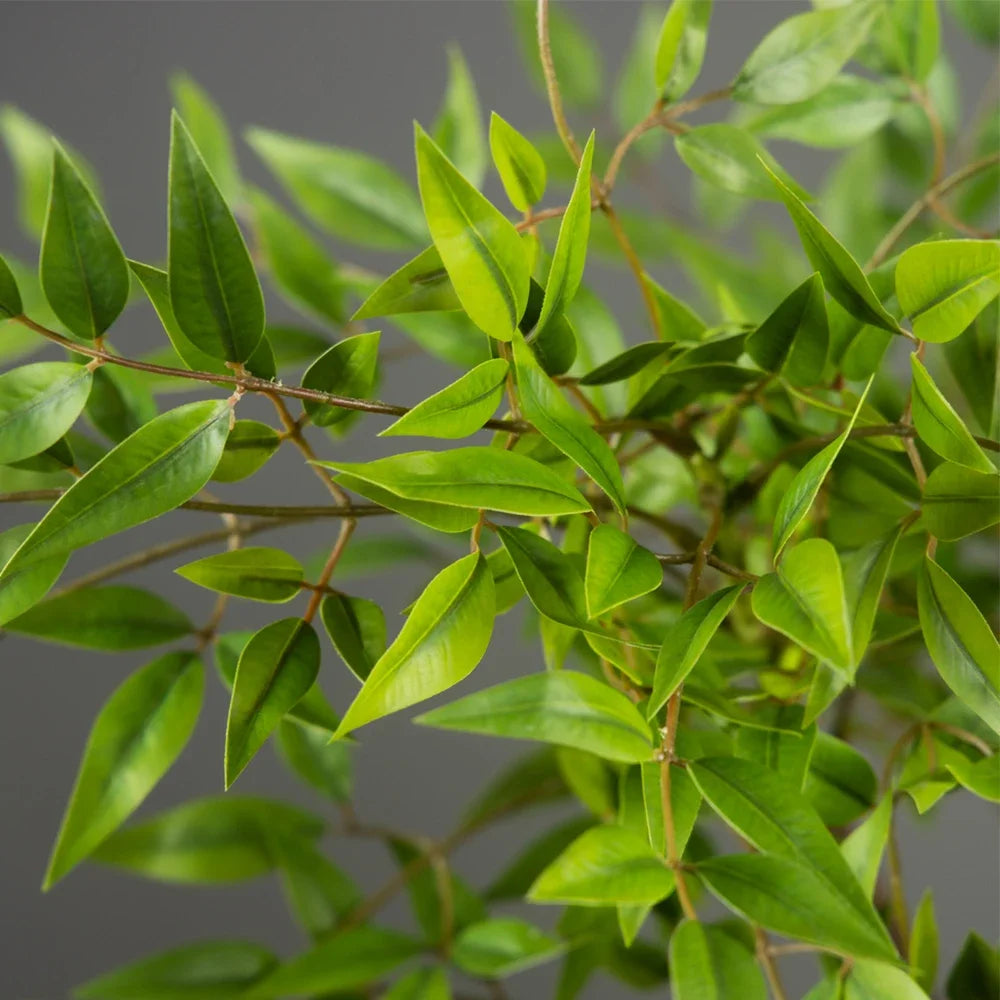 décoration extérieure moderne plante artificielle arbre vert clair feuilles fines pot blancextérieur jardin decoration