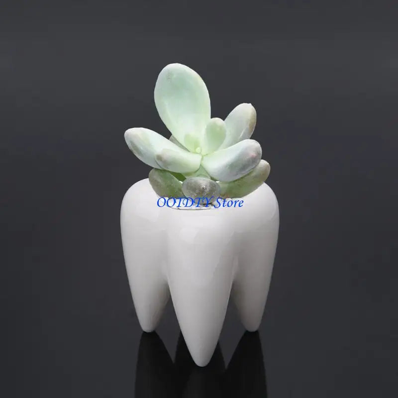 pot plante forme dent blanc lisse brillant décoratif succulente originale verte cactus