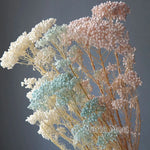 bouquet fleurs séchées naturelles rustique décoration maison mariage anniversaire petit volume décoratif