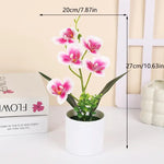 décoration intérieure orchidées artificielles pots blancs fleurs simples feuilles vertes moderne