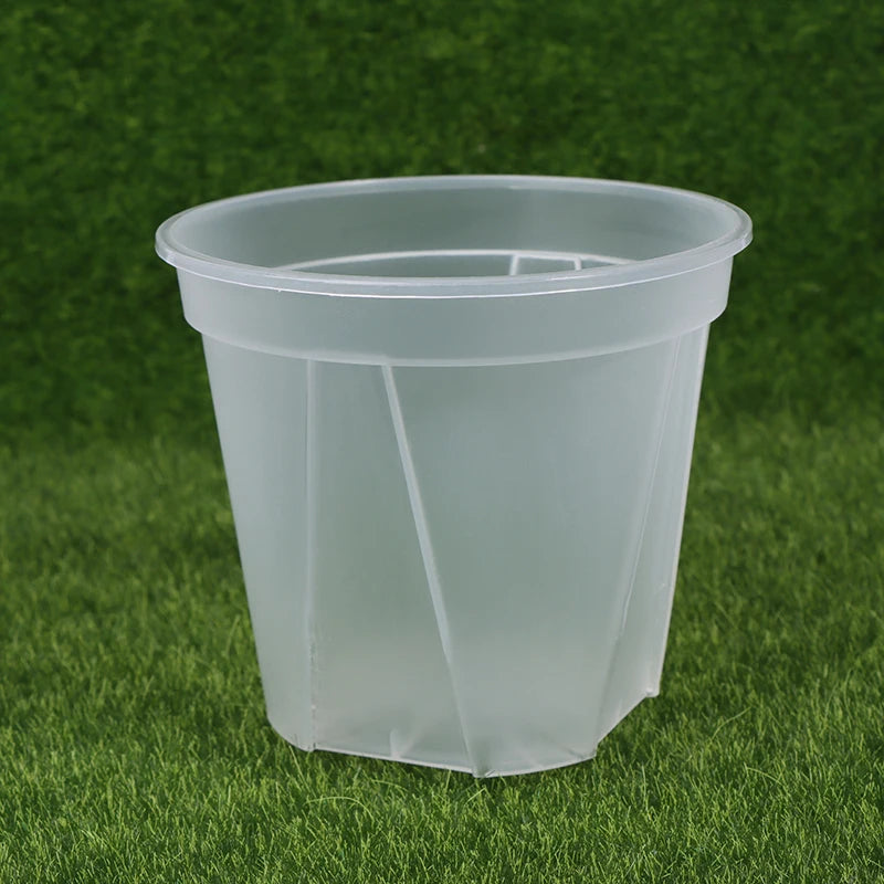 pot fleurs transparent moderne plateau dimension 10cm 12cm 14cm plastique