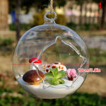 terrarium suspendu verre transparent plante mousse fleur moderne minimaliste