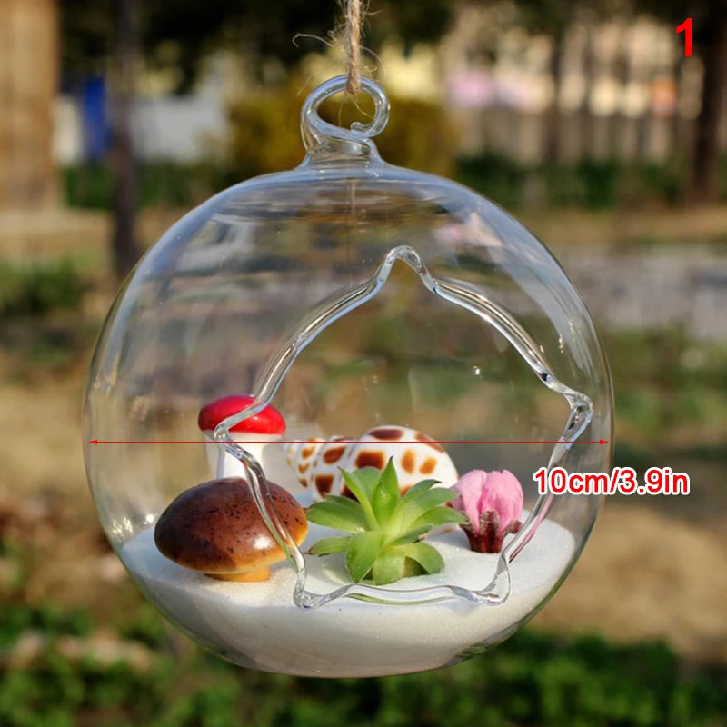 terrarium suspendu verre transparent plante mousse fleur moderne minimaliste