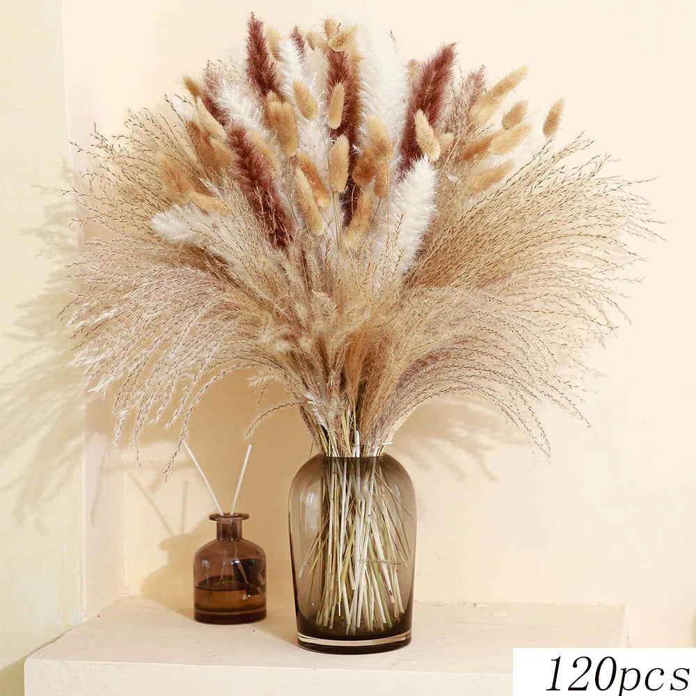 fleurs sèches plumes herbes naturelles décoration maison anniversaire mariage vases élégantes blanc marron fluffy