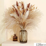 fleurs sèches plumes herbes naturelles décoration maison anniversaire mariage vases élégantes blanc marron fluffy