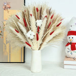 Bouquet fleurs séchées pampas blanche rouge décoration maison anniversaire boho festive