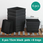 Pots succulentes blancs moderne rainures verticales drainage aération 10cm 12cm 15cm