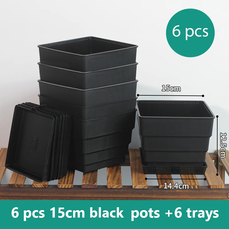 Pots succulentes blancs moderne rainures verticales drainage aération 10cm 12cm 15cm