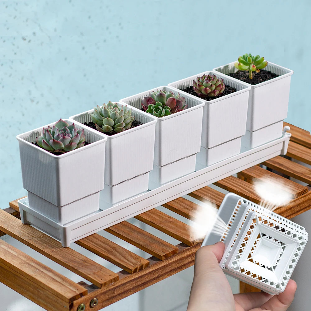 pots succulentes blancs moderne drainage ridge verticale pots différents tailles plateau