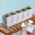pots succulentes blancs moderne drainage ridge verticale pots différents tailles plateau
